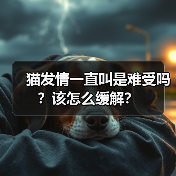猫发情一直叫是不是难受？科学缓解全攻略