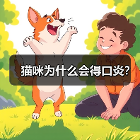 猫咪口炎原因解析｜常见病因与治疗全攻略