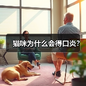 猫咪为什么会得口炎?(图4) 猫咪口炎原因解析|常见病因与治疗全攻略(图4)