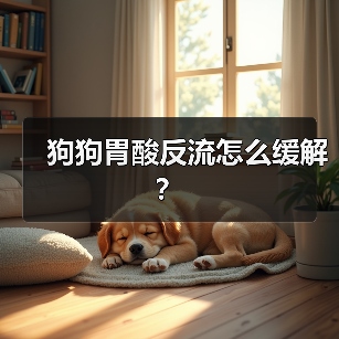 狗狗胃酸反流症状与缓解方法｜实用指南(图2)
