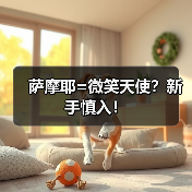 萨摩耶优缺点及健康问题｜新手养狗全攻略(图2)