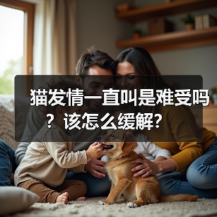 猫发情一直叫是难受吗?该怎么缓解?(图3) 猫发情一直叫是不是难受?科学缓解全攻略(图3)