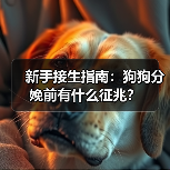 狗狗分娩前征兆识别指南｜新手必看