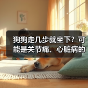 狗狗走几步就坐下?可能是关节痛、心脏病的信号(图2) 狗狗走几步就坐下可能是关节痛或心脏病信号|常见原因全解析(图2)