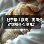 狗狗分娩前征兆识别指南｜新手必看(图4)