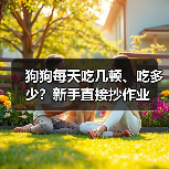 狗狗喂食频率与量指南｜新手养宠必看(图4)