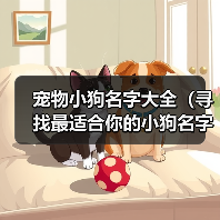 宠物小狗名字大全(寻找最适合你的小狗名字的关键点)(图1) 宠物小狗名字大全|实用指南(图1)