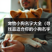 宠物小狗名字大全(寻找最适合你的小狗名字的关键点)(图3) 宠物小狗名字大全|实用指南(图3)