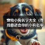 宠物小狗名字大全(寻找最适合你的小狗名字的关键点)(图2) 宠物小狗名字大全|实用指南(图2)