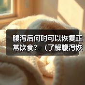 腹泻后何时可以恢复正常饮食?(了解腹泻恢复期间的饮食要注意的关键事项)(图4) 腹泻恢复饮食指南|何时恢复正常饮食及注意事项(图4)