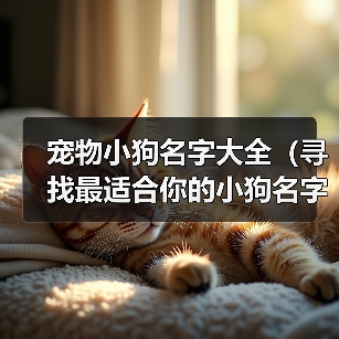 宠物小狗名字大全(寻找最适合你的小狗名字的关键点)(图4) 宠物小狗名字大全|实用指南(图4)