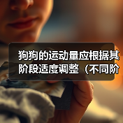 狗狗运动量调整指南｜不同阶段科学运动方案(图3)