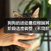 狗狗运动量调整指南｜不同阶段科学运动方案(图4)