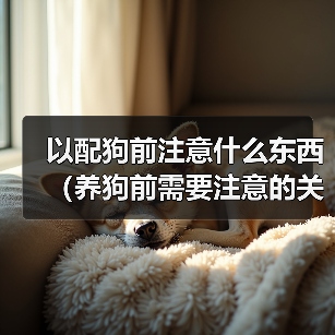 养狗前需注意的关键事项｜全面准备指南(图2)
