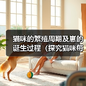 猫咪的繁殖周期及崽的诞生过程(探究猫咪每次产仔时间间隔和崽子的成长情况)(图3) 猫咪繁殖周期与崽子成长全攻略(图3)