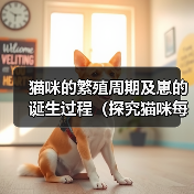 猫咪的繁殖周期及崽的诞生过程(探究猫咪每次产仔时间间隔和崽子的成长情况)(图4) 猫咪繁殖周期与崽子成长全攻略(图4)