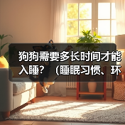 狗狗入睡时间影响因素全解析｜睡眠习惯与训练指南