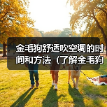 金毛狗吹空调时间与方法｜科学降温全攻略