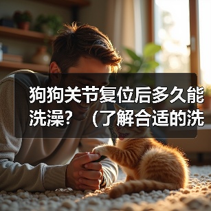 狗狗关节复位后多久能洗澡?(了解合适的洗澡时间,为你的狗狗提供最佳的关节复位护理)(图3) 狗狗关节复位后洗澡时间指南|科学护理全攻略(图3)