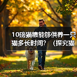 10磅猫粮能养猫多久｜科学喂养全攻略