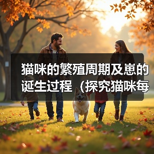 猫咪繁殖周期与崽子成长全攻略