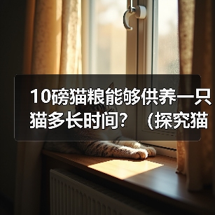 10磅猫粮能够供养一只猫多长时间?(探究猫粮的使用寿命与猫的需求,解答猫主人的疑惑)(图3) 10磅猫粮能养猫多久|科学喂养全攻略(图3)