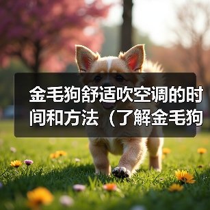 金毛狗舒适吹空调的时间和方法(了解金毛狗对空调的适应能力以及正确使用方法)(图2) 金毛狗吹空调时间与方法|科学降温全攻略(图2)