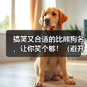 搞笑比熊狗名推荐避开禁忌｜实用指南(图4)