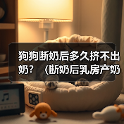 狗狗断奶后乳汁消失时间及原因分析