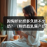 狗狗断奶后多久挤不出奶?(断奶后乳房产奶停止的时间和相关原因)(图2) 狗狗断奶后乳汁消失时间及原因分析(图2)