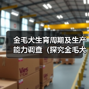 金毛犬生育周期及生产能力调查(探究金毛犬的生殖能力及生育间隔时间)(图4) 金毛犬生育周期与生产能力解析|全攻略(图4)