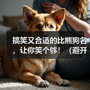 搞笑比熊狗名推荐避开禁忌｜实用指南