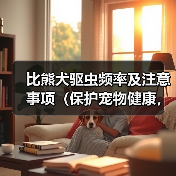 比熊犬驱虫指南｜频率与注意事项全解析(图4)