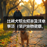 比熊犬驱虫指南｜频率与注意事项全解析(图3)