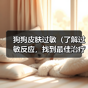 狗狗皮肤过敏治疗全攻略｜科学应对有效缓解
