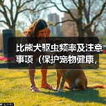 比熊犬驱虫指南｜频率与注意事项全解析