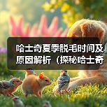 哈士奇夏季脱毛原因及应对方法｜科学护理全攻略