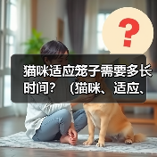 猫咪适应笼子需要多久｜实用指南(图2)