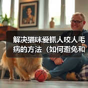 解决猫咪爱抓人咬人毛病的方法(如何避免和纠正猫咪攻击人的行为)(图2) 猫咪抓人咬人行为纠正方法|实用指南(图2)