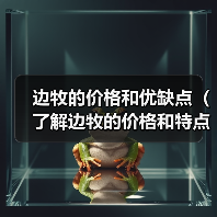 边牧的价格和优缺点(了解边牧的价格和特点,选择适合自己的宠物伴侣)(图2) 边牧价格与优缺点分析|宠物选择全攻略(图2)