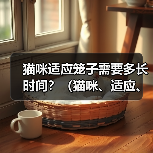 猫咪适应笼子需要多久｜实用指南(图4)