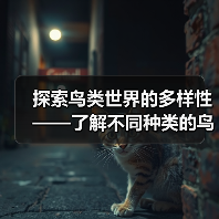 鸟类多样性探索｜常见与特殊鸟类全解析(图4)