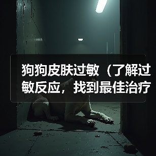 狗狗皮肤过敏治疗全攻略｜科学应对有效缓解(图2)