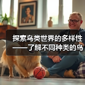 鸟类多样性探索｜常见与特殊鸟类全解析(图2)