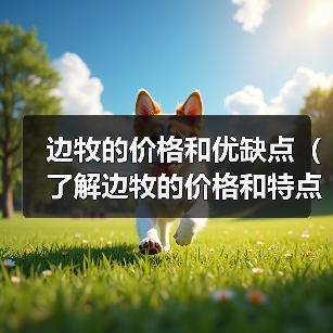 边牧的价格和优缺点(了解边牧的价格和特点,选择适合自己的宠物伴侣)(图3) 边牧价格与优缺点分析|宠物选择全攻略(图3)