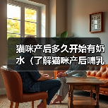 猫咪产后哺乳时间与注意事项｜新手养猫全攻略(图2)