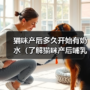 猫咪产后哺乳时间与注意事项｜新手养猫全攻略(图3)
