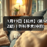 外科手术中阶实战班｜实操丰富提升快(图3)