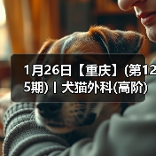 犬猫外科高阶实操班｜SUB技术与复杂手术掌握全攻略(图2)