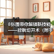 膀胱切开术操作流程图解｜手术核心技巧全攻略